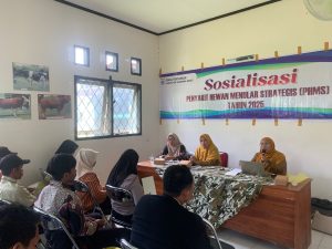 Peternak Brang Rea Dapat Pembekalan Tentang Pencegahan PHMS