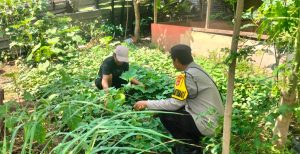 Bhabinkamtibmas Mantun Dampingi Warga Kelola Pekarangan Pangan Bergizi