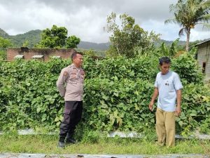 Bhabinkamtibmas Desa Tatar Dampingi Warga Kelola Pekarangan Pangan Bergizi