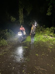 Bhabinkamtibmas Pasir Putih Cek Rumah Warga Terdampak Pohon Tumbang Akibat Cuaca Ekstrem