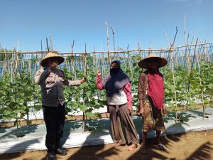 Dukung Ketahanan Pangan, Bhabinkamtibmas Tatar dampingi Warga binaan Kelola Lahan Produktif