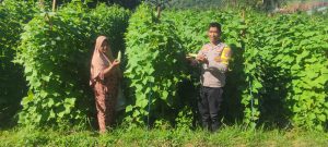 Bhabinkamtibmas Manemeng Dampingi Pengelolaan Pekarangan Pangan Bergizi, Dorong Ketahanan Pangan Masyarakat