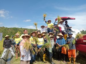 Langkah Kecil Petani, Menanam Harapan Baru Dari Benete Langkah Kecil Petani, Menanam Harapan Baru Dari Benete